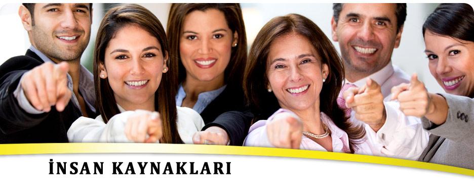 insankaynak1