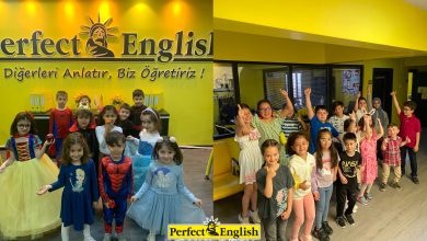 anaokulu ingilizce kursları ankara perfect english dil kursları-