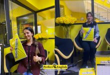 ingilizce ozel ders Ankara ingilizce ozel ders secimi neden perfect englishi secmeliyim