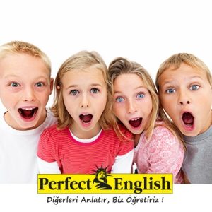 İngilizce Kursları Ankara 2 ilköğretim ingilizce kursu-ilköğretim ingilizce kursları-perfect english ingilizce kursu