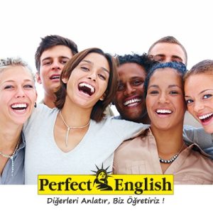 İngilizce Kursları Ankara 14 toeic kursu-toeic ingilizce kursu-perfect english ingilizce kursları anasayfa bg